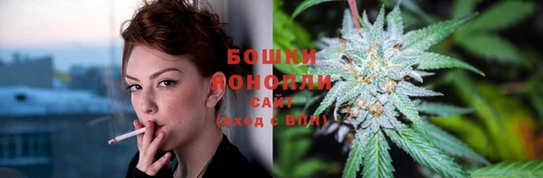 гидра Белокуриха