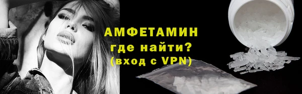 гидра Белокуриха