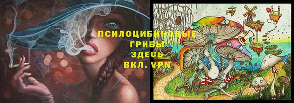гидра Белокуриха