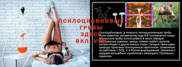 гидра Белокуриха