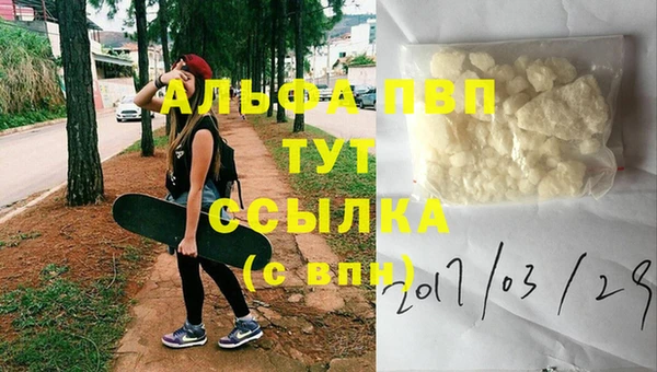 гидра Белокуриха