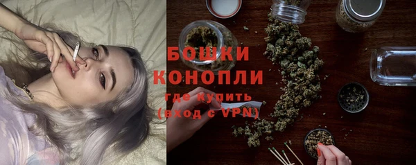 гидра Белокуриха