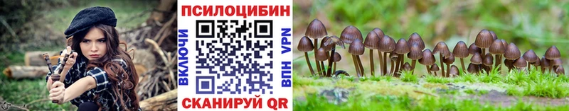 Псилоцибиновые грибы MAGIC MUSHROOMS  наркошоп  Верхняя Пышма 