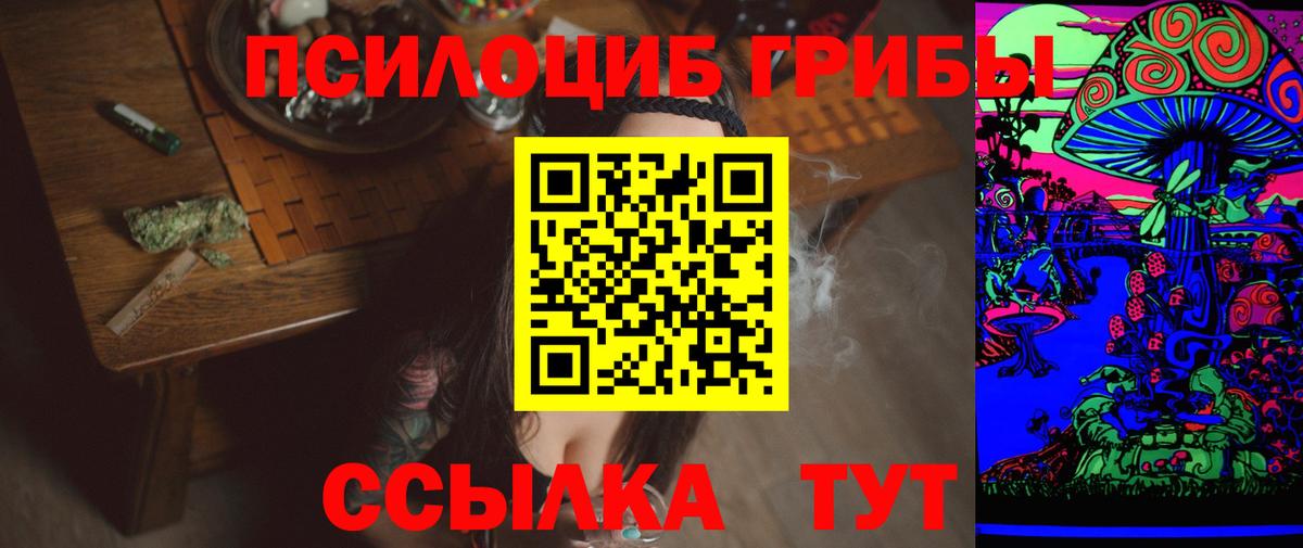 Псилоцибиновые грибы Cubensis Верхняя Пышма